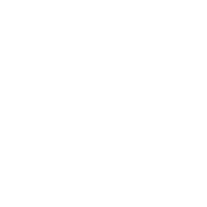 Icone Garage HP Lévesque